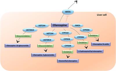 Genetic Polymorphisms Associated With the Pharmacokinetics, Pharmacodynamics and Adverse Effects of Olanzapine, Aripiprazole and Risperidone